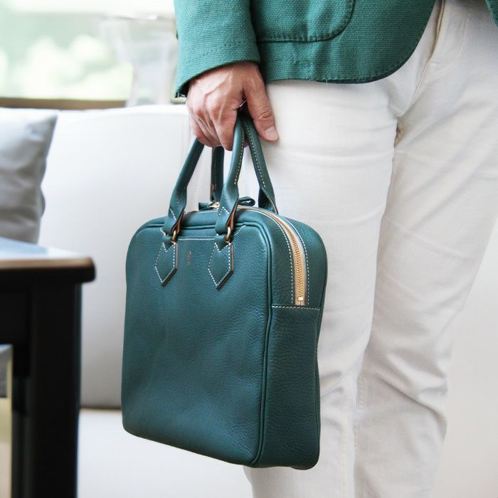 ALVAREZ PD 100 トップ&バック単板 豪華装飾　ソフトケース付き ALVAREZ PD 100 トップ&バック単板 豪華装飾